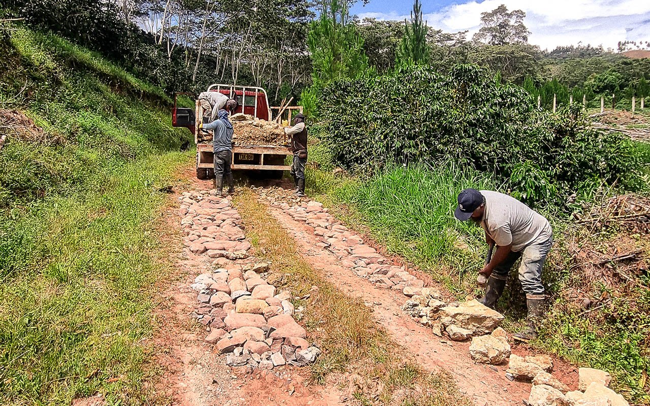 Coffee producers Peru