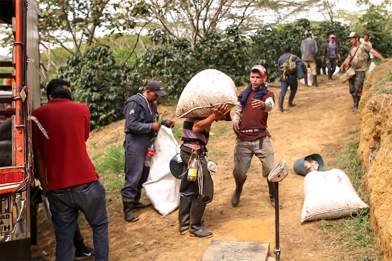 Colombian coffee production