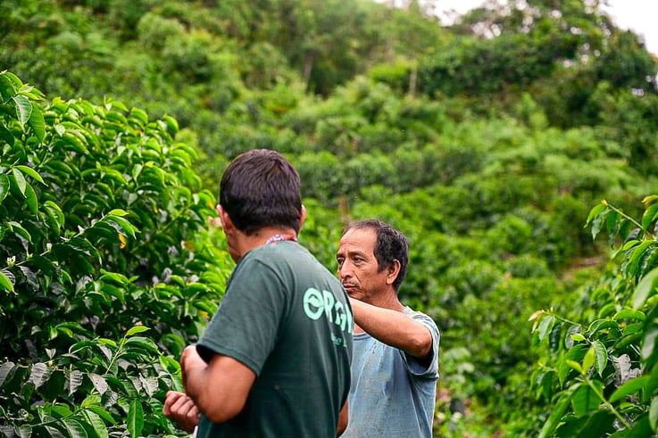 Sustainable coffee Peru