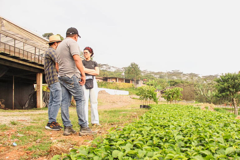 Coffee farmers Colombia