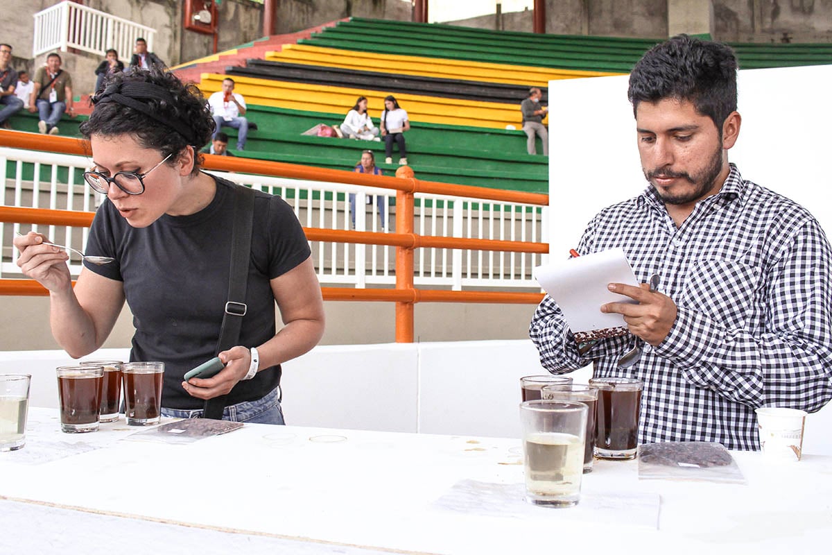Coffee fermentation Colombia