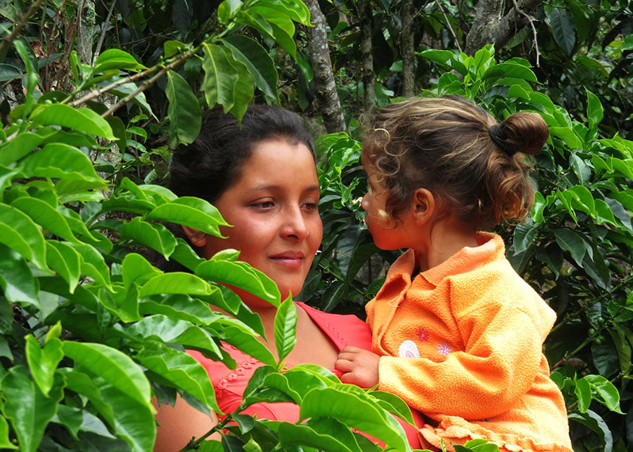 Women coffee smallhoder Peru