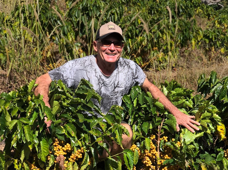 Brazil, Agricultural Prices: CONAB: Average Weekly Prices: Producer: Coffee