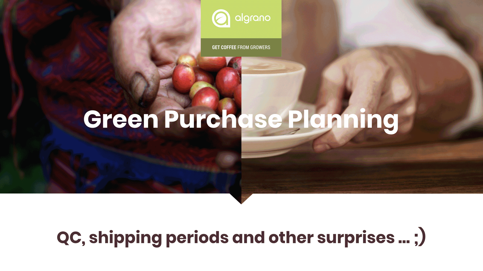 Veronika-Green-Purchase-Planning-Presentation