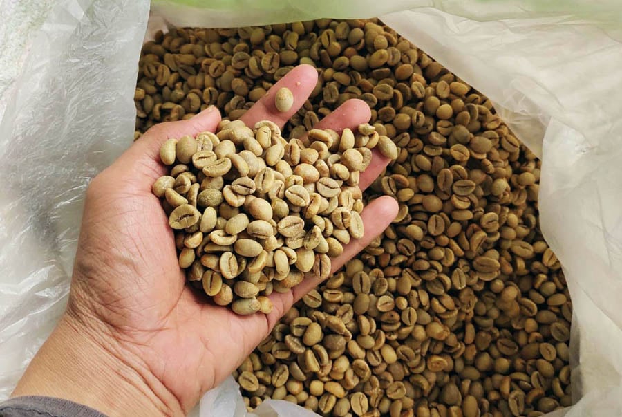Alfa Jaya Specialty Green Coffee Beans Indonesia