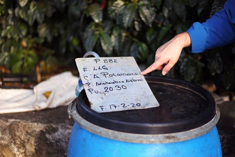 Anaerobic Fermentation Coffee 