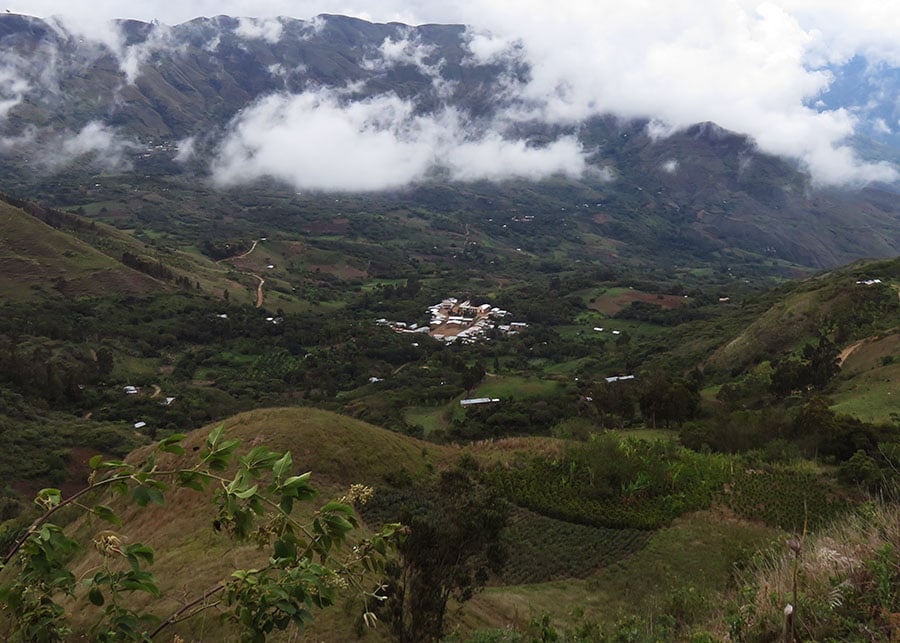 Smallholder coffee Cajamarca Peru