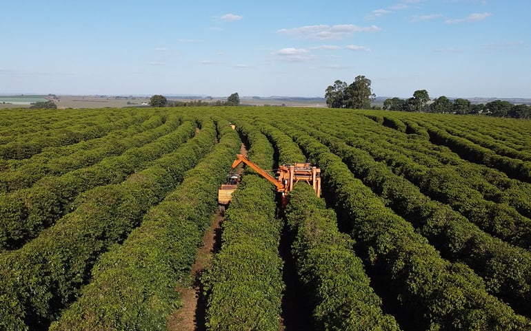 Brazil, Agricultural Prices: CONAB: Average Weekly Prices: Producer: Coffee