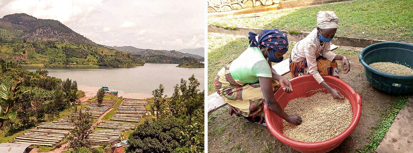 Rwanda Coffee Washing Station