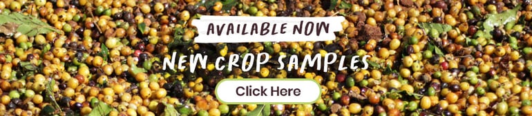 Brazil Robusta Conillon Washed - Qahwa