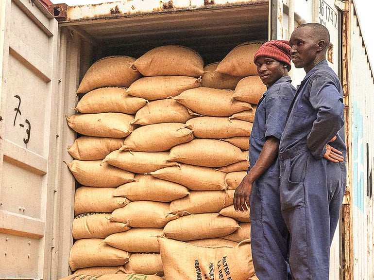 Rwanda Coffee Exports