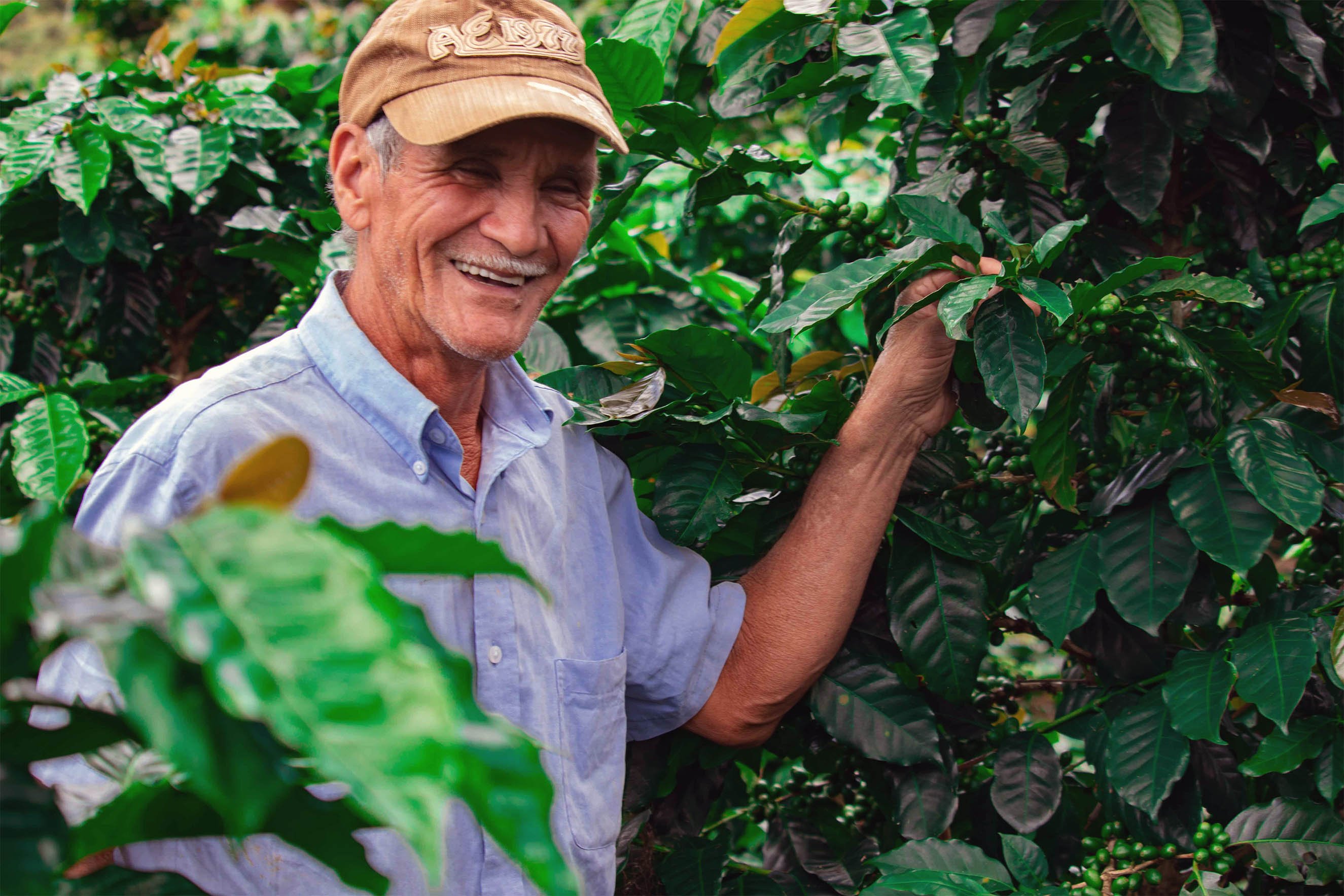 matagalpafarmer