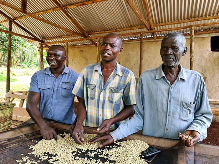 Uganda coffee exporters