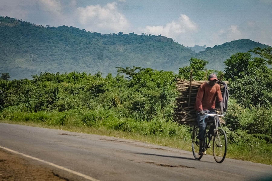 Europe deforestation ban coffee