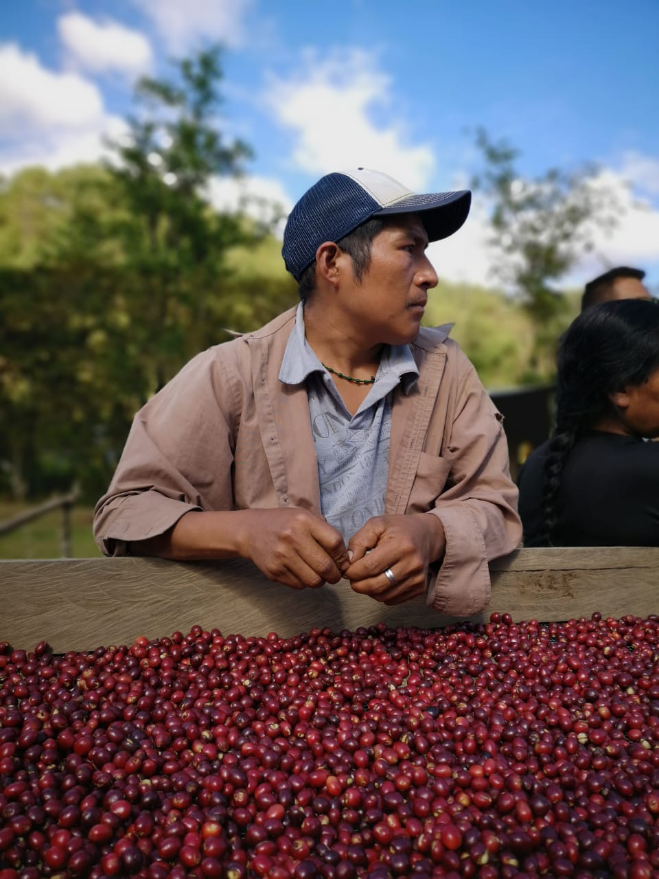 xochiltepec oaxaca 2